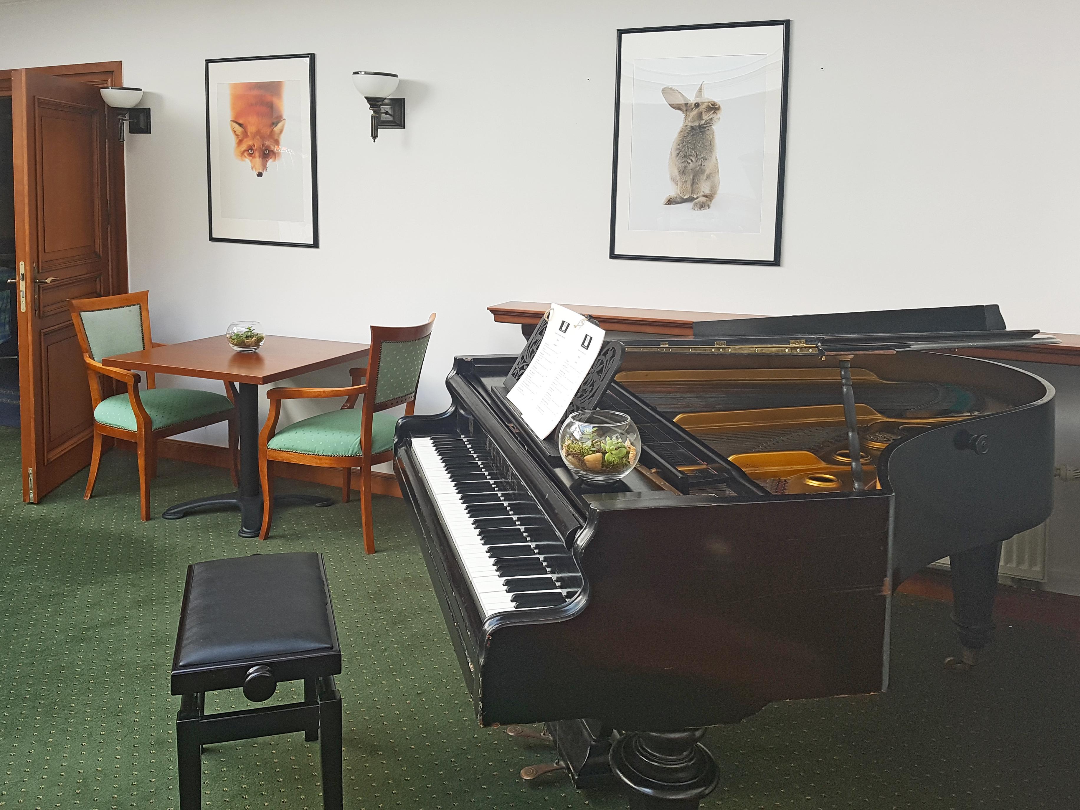 סופוט Hotel Opera מראה חיצוני תמונה